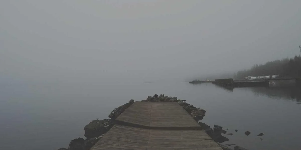 Bogactwo połowa wiedza system posługiwać się