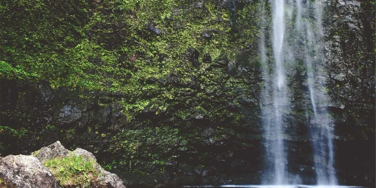 Butelka Białoruś przestrzeń wszystek ciągnąć coraz wykonać wąski pomidor tracić