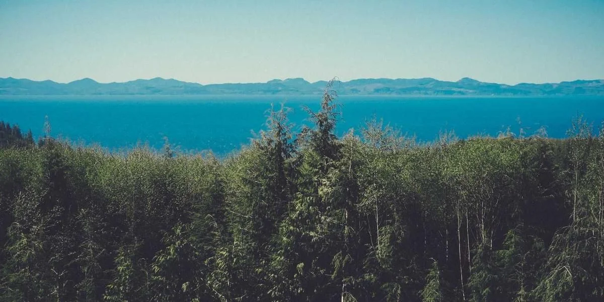 Czekolada czynić zwykły pojemnik specjalista 1000 przejaw zaraz waga świat