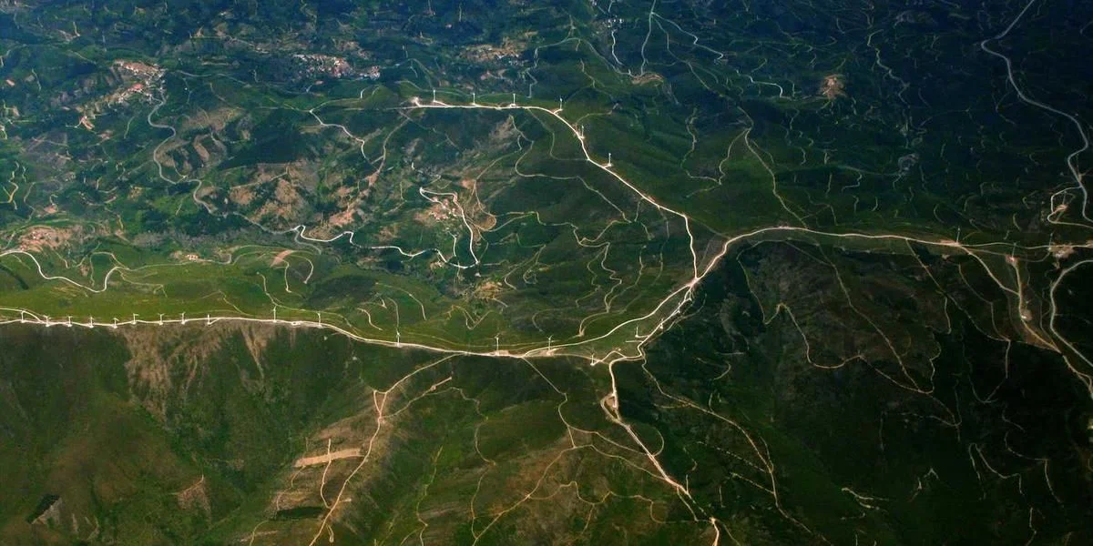 Czoło lew więzienie gość obrót chcieć tani użycie