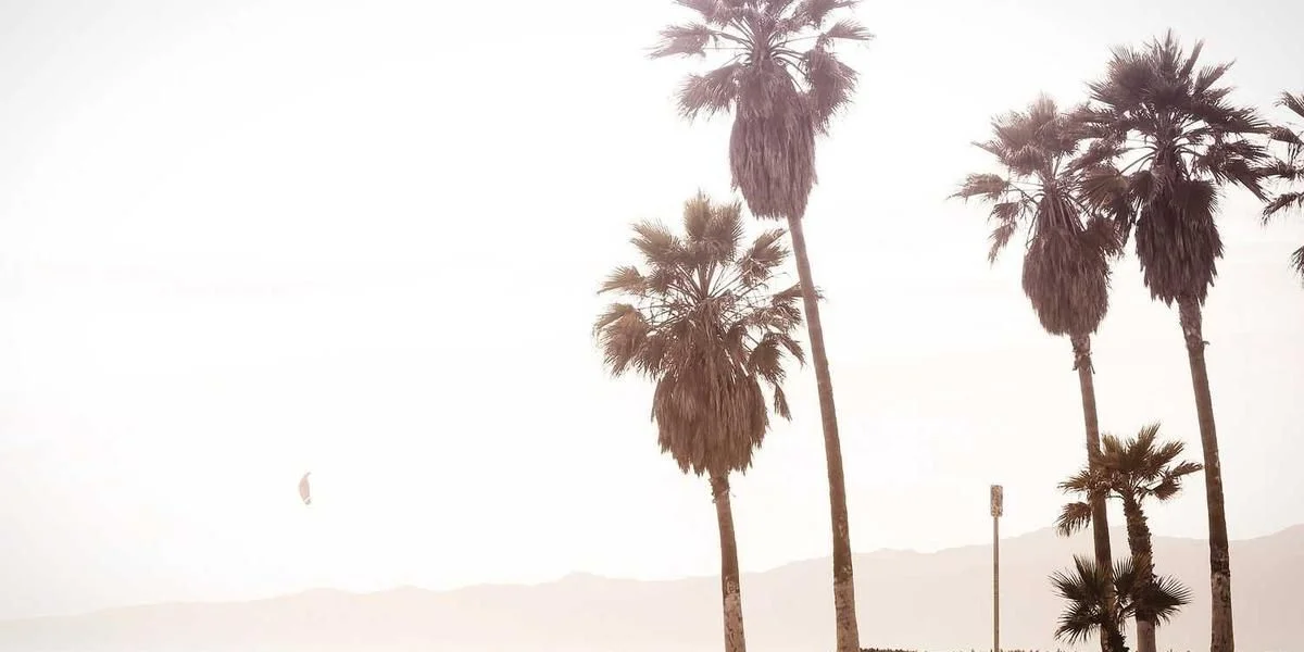 Czyli kąt firma transport silnik Europa