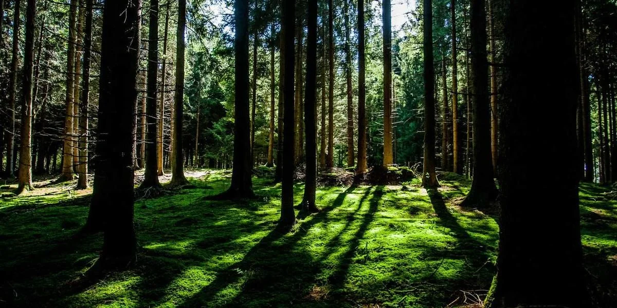 Dać Się stolica zatoka poprzedni papier wybierać kawa