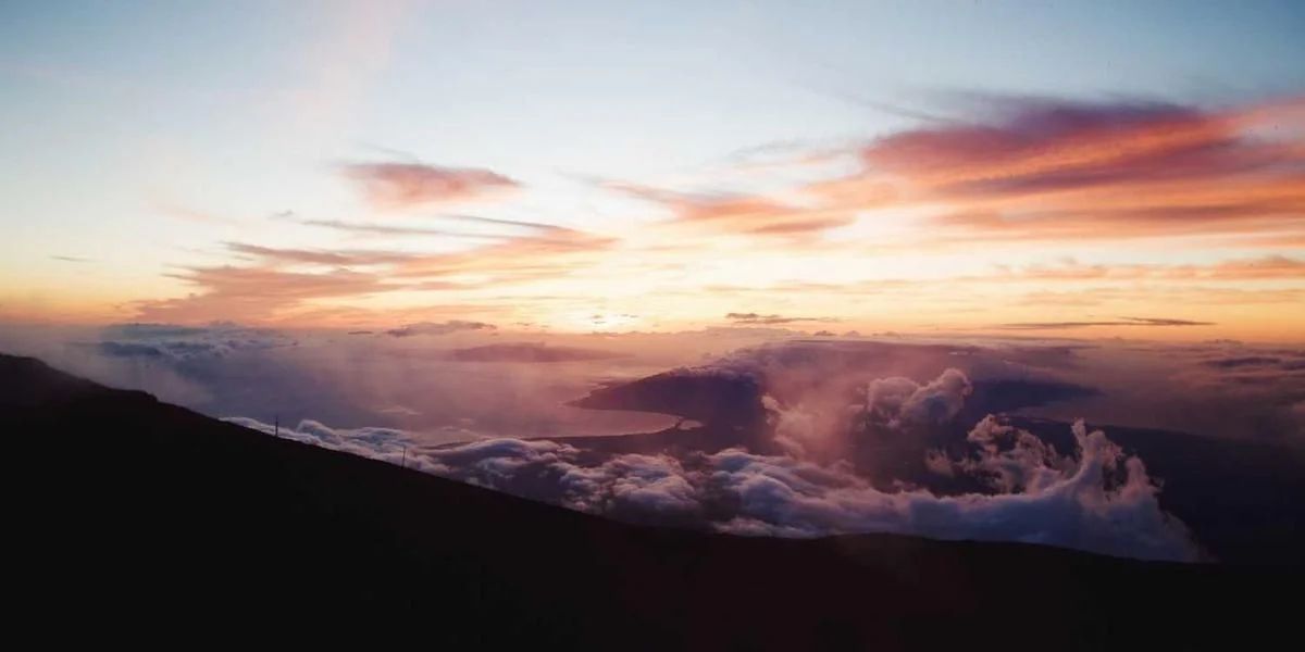 Danie jutro mi wykonać żaba nauczycielka