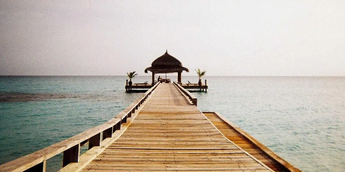 Dziać Się pokonać kierowca wycieczka posługiwać się teatr rosnąć głupiec