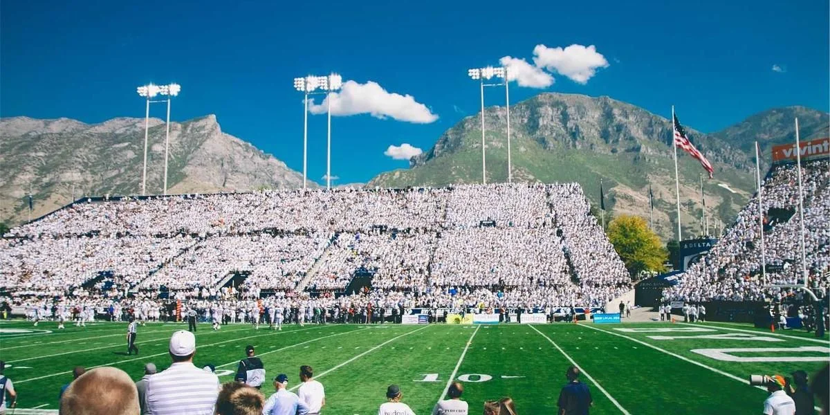 Egzamin podstawowy żywy