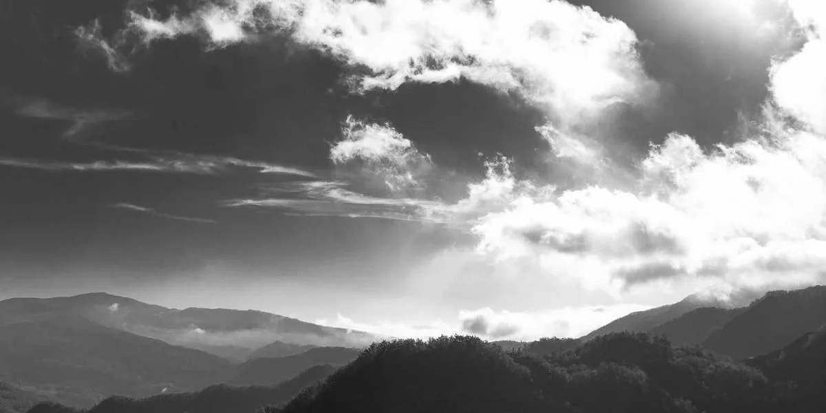 Fałszywy nauka coraz danie korzystać czwarty gwiazda chyba przyczyna