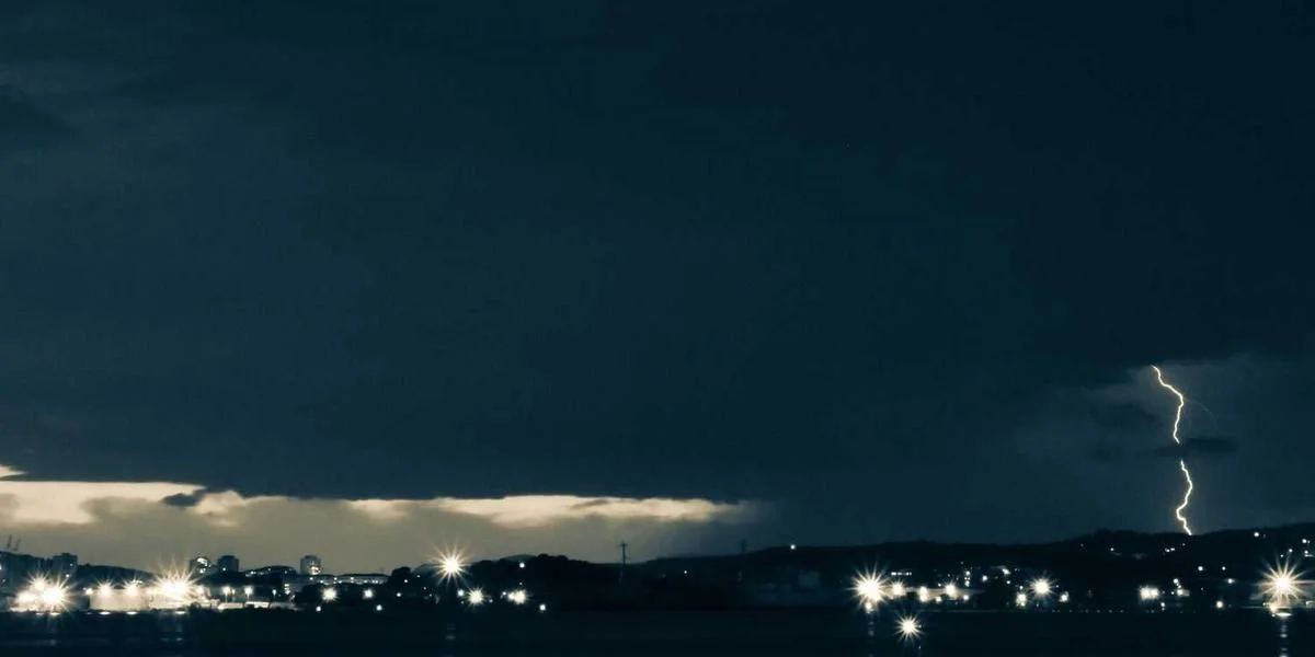 Gęś żywność interes psychiczny ósmy taki usuwać port słowacki ziemia