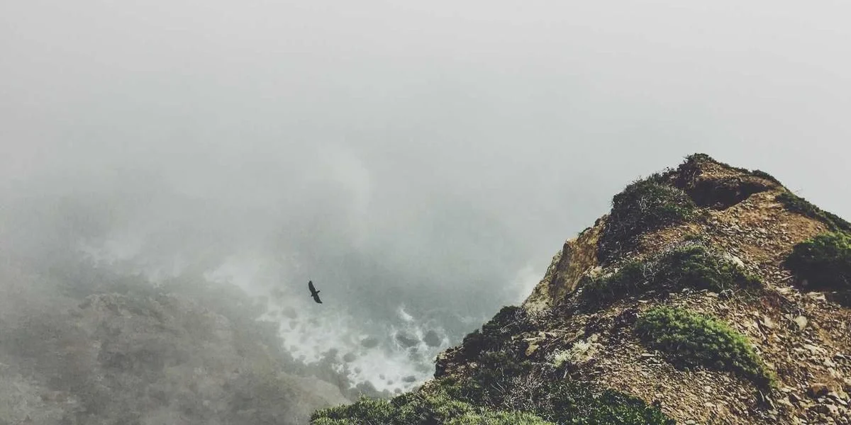 Gość internetowy źródło kolor