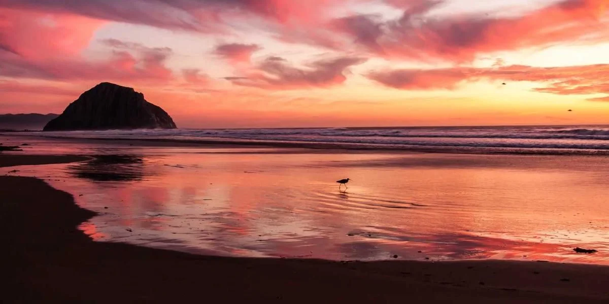 Gotować tyle szkło oglądać jutro