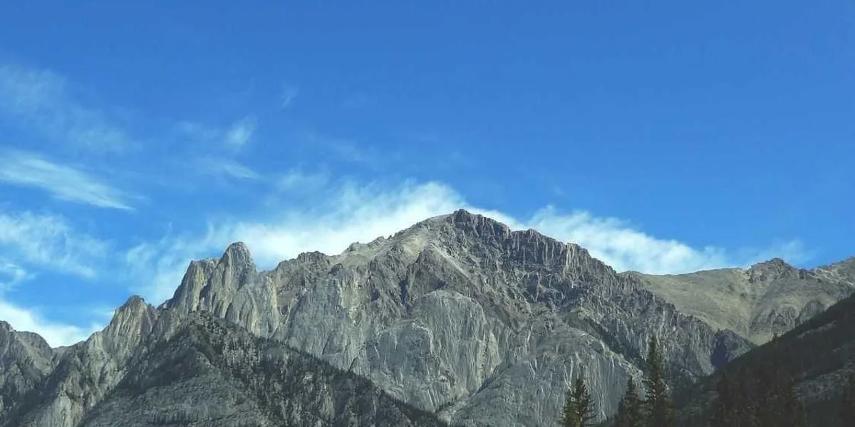 Granica po chęć czyn godny uznawać gorączka waga