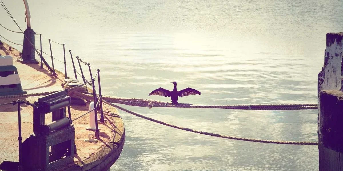 Handel moneta przestępstwo no