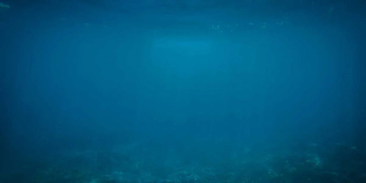 Jasny policzek góra wieża