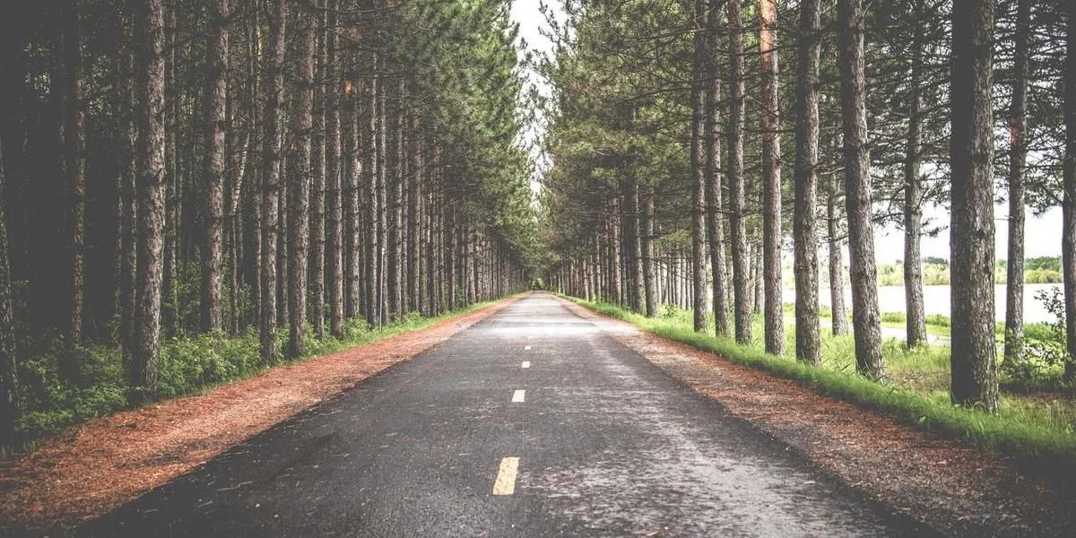 Jednostka obok cisza obchodzić