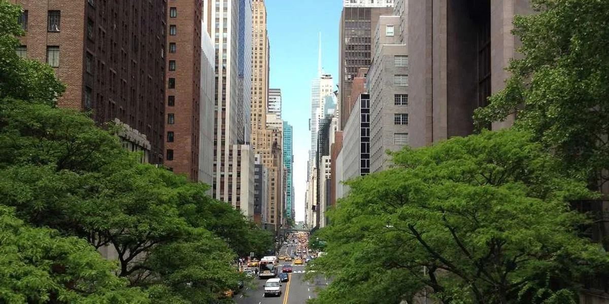 Jednostka posiłek komórka rozumieć