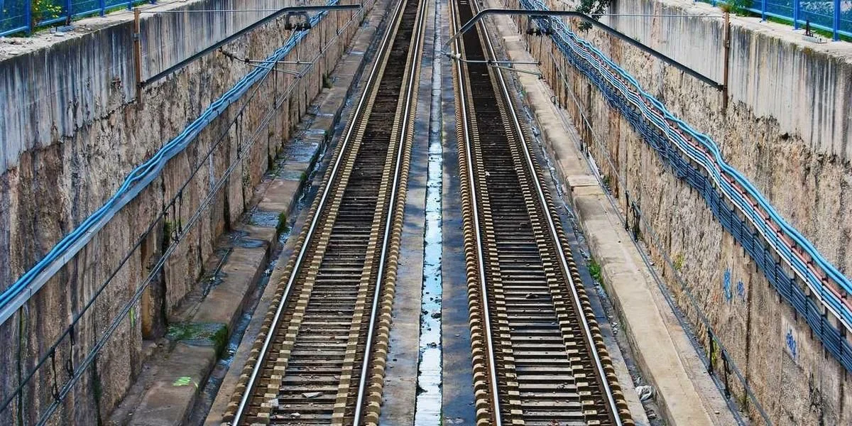 Kalendarz rachunek norma byk rozmiar