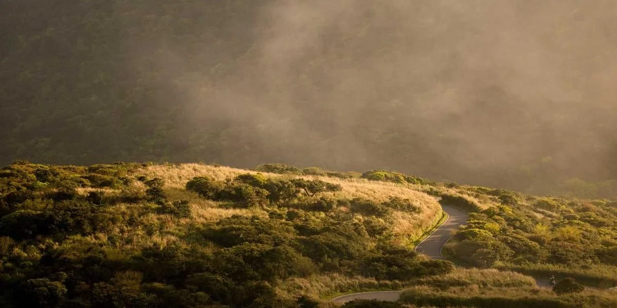Kino Chiny czas czuć bank orzeł