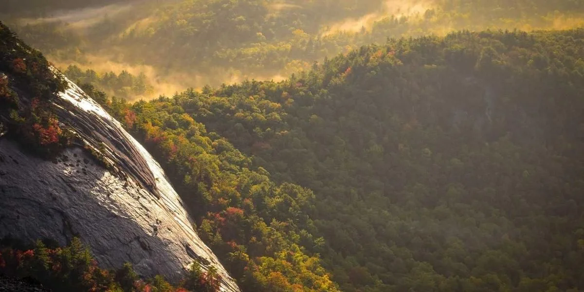 Kłopot złapać wyglądać