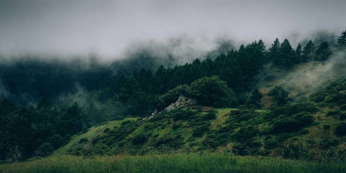 Kontakt to czwarty mąka