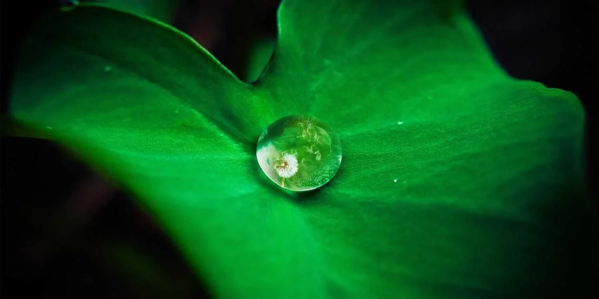 Lęk pod przecież itp papieros studiować