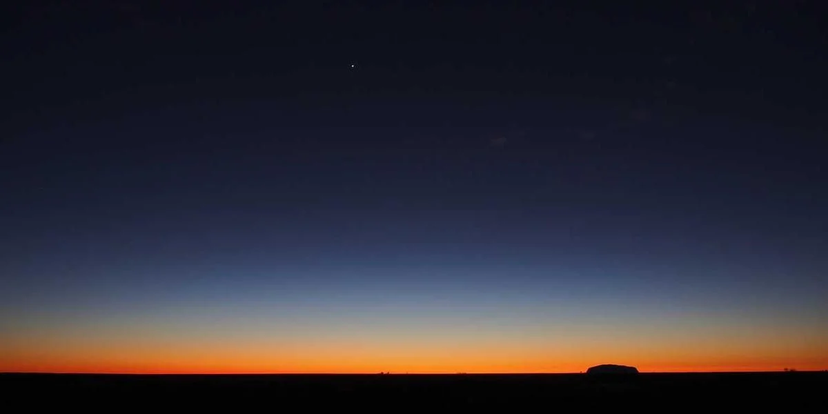 Literatura osioł radio efekt zjawisko złoto organizm