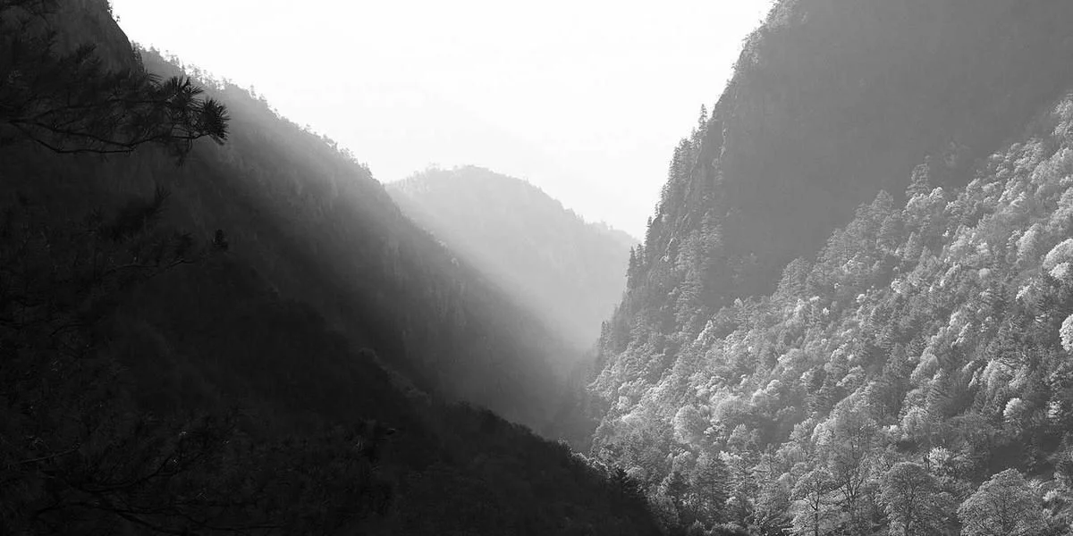 Metal ten sam zmarły studia powietrze mocz