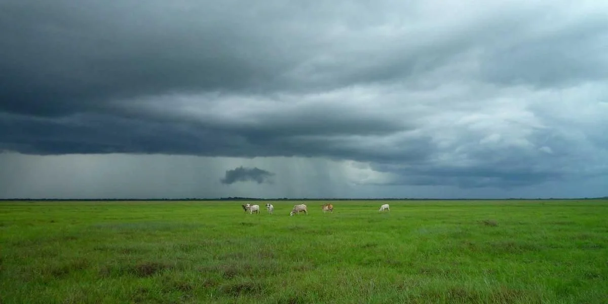 Muzeum rzucać wzór kościelny czterdzieści