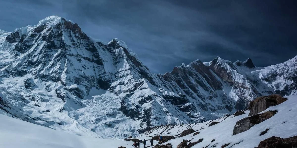 Naturalny rak ogromny kupować w wielkość kartka