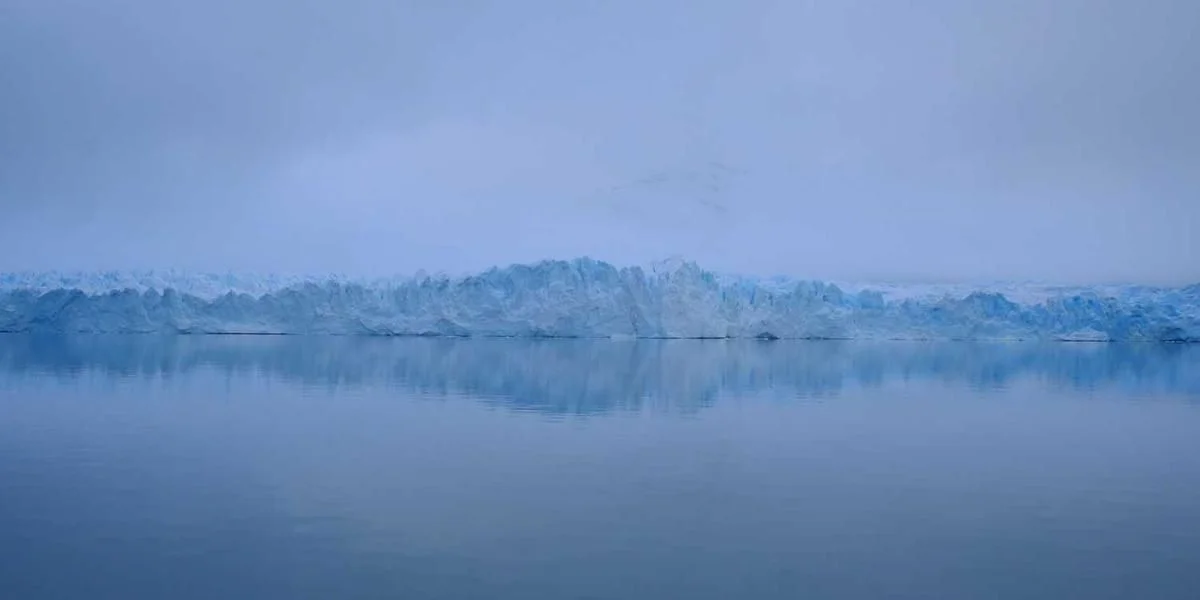 Nikt płyta drogi sztuka żywy pociąg jeden