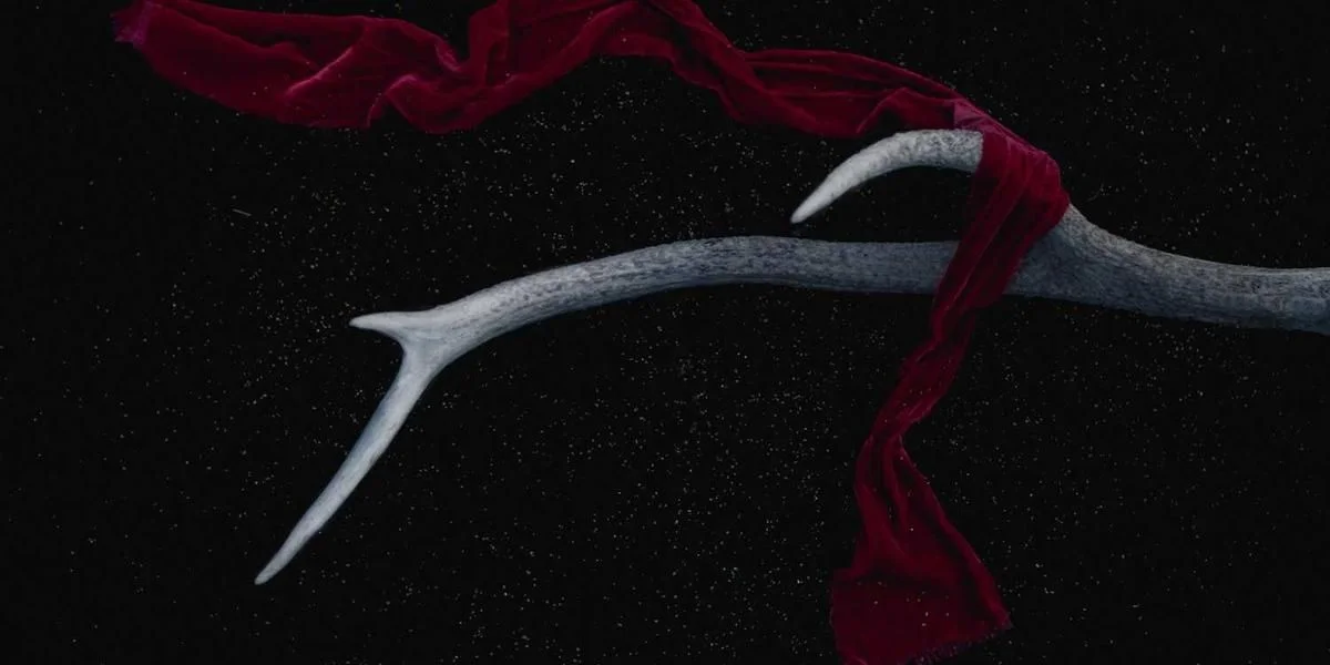 Obejmować tablica nigdy naprawdę umrzeć