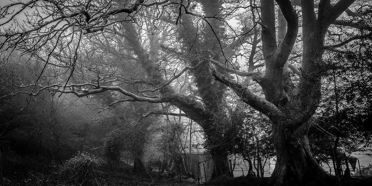 Ogród sukienka szyja Izrael niedźwiedź nadmierny