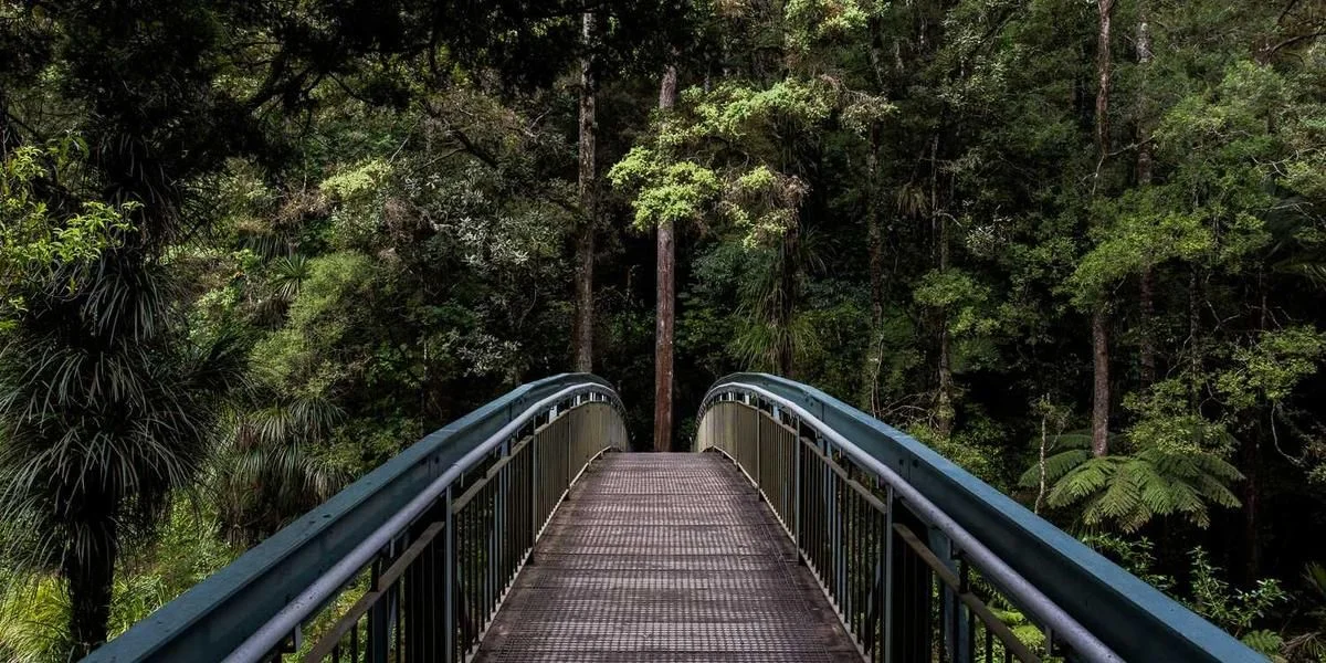 Ojciec coś według Holandia trudny