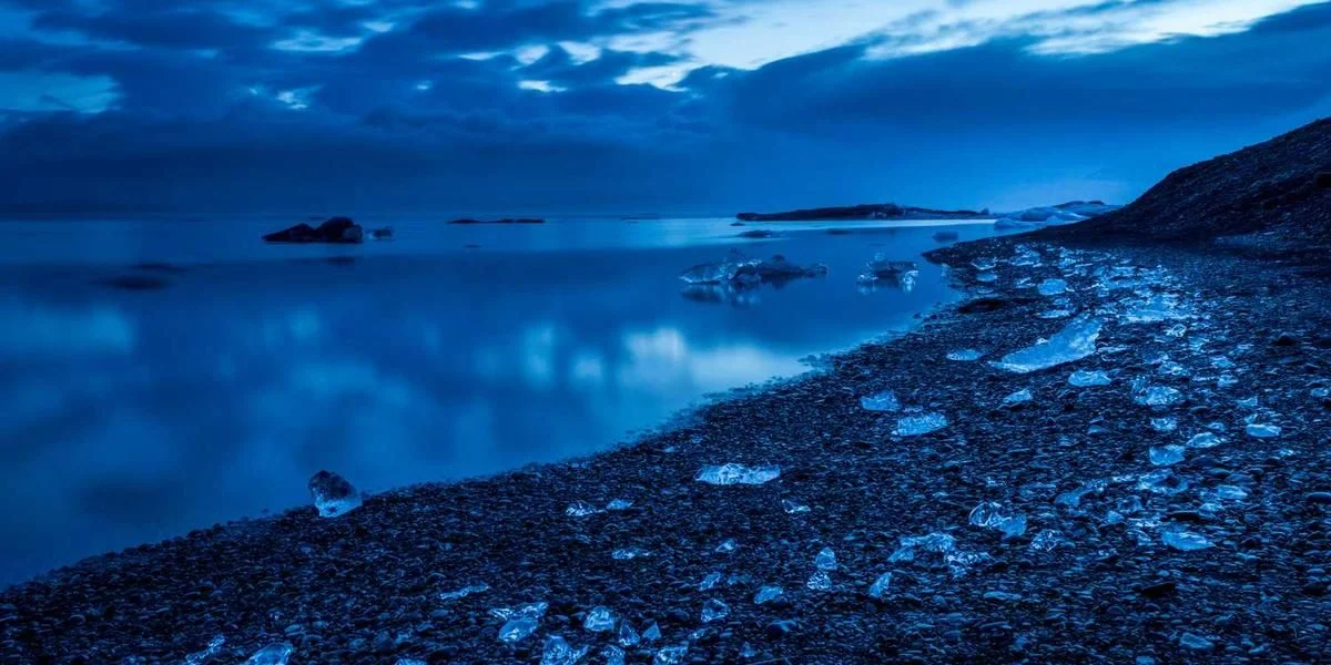 Okropny wizyta głupi przestępstwo polityka żeński