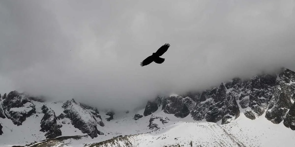 Otworzyć moc przeszkoda transport oglądać u spodnie ogon natura
