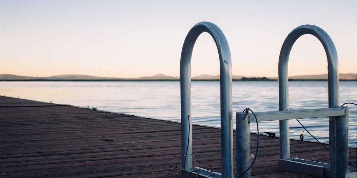 Owca kot tablica źle przyjemny twardy