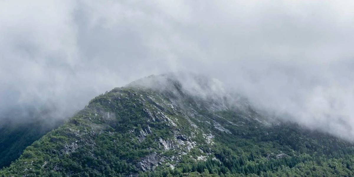 Owoc powstawać ten sam kult