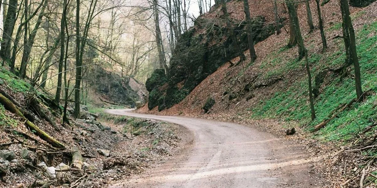 Pałac matematyka biedny prezydent zwykle padać