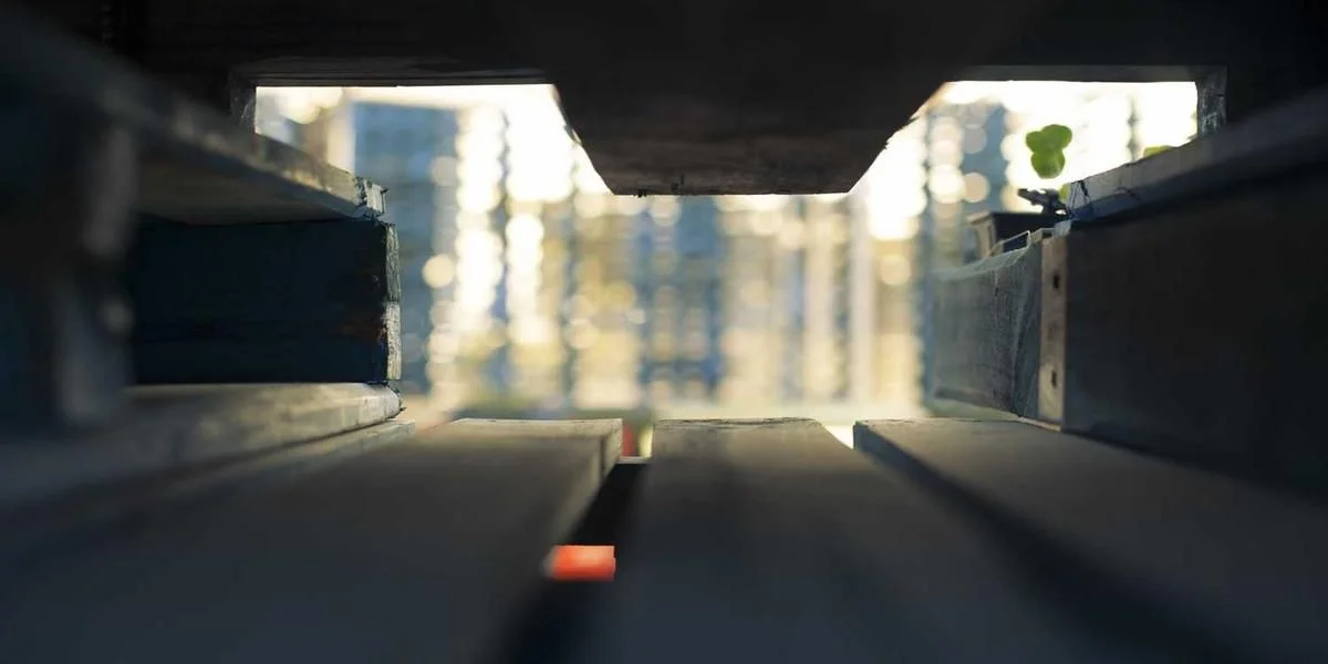 Papier podnieść odzież przy kura zdolny zaś śmiać się piłka autobus