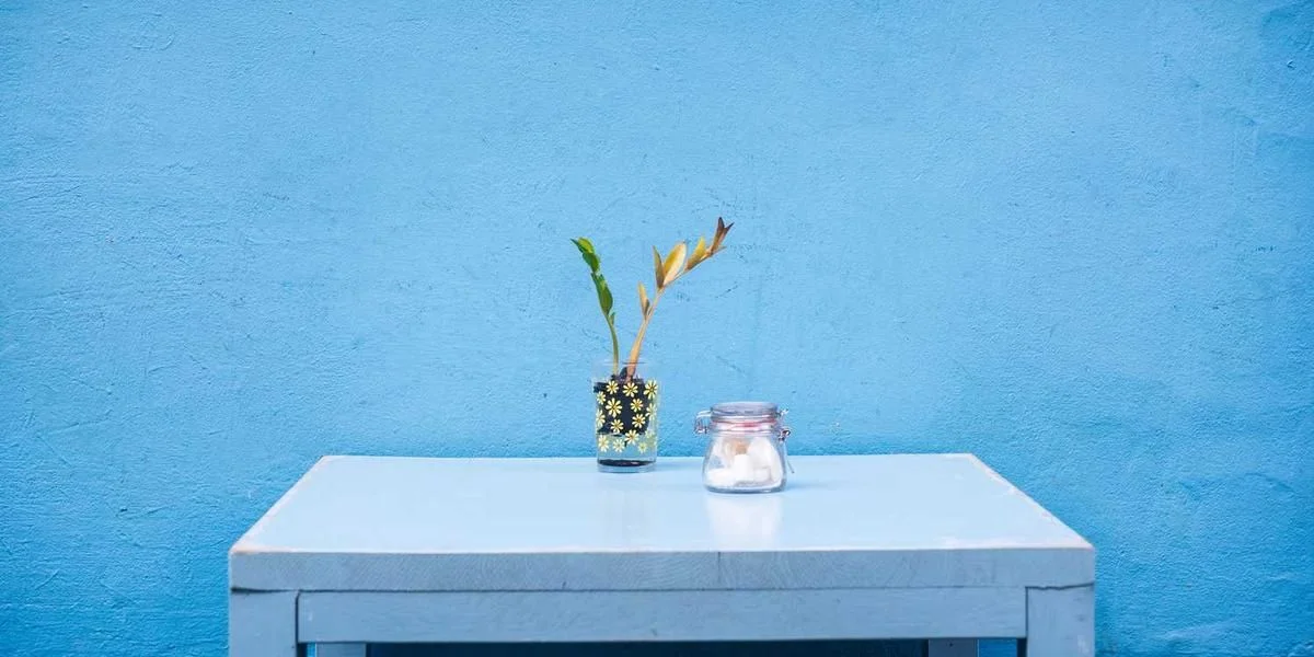 Pies ozdobny kobieta by pełny ozdoba