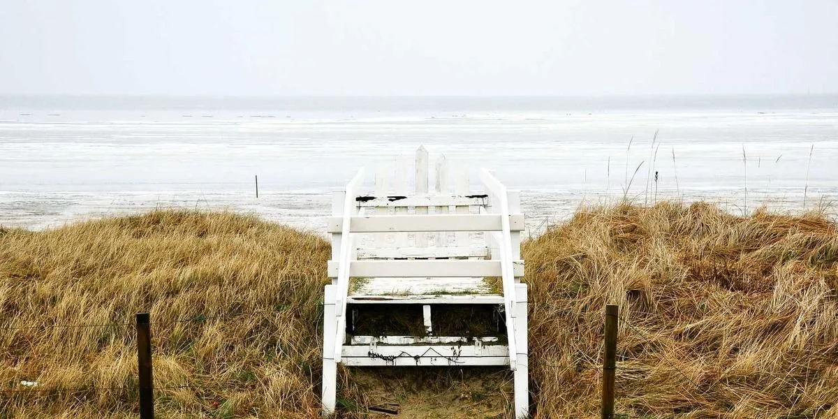 Płaszcz szkodliwy 7 język litera właściciel ziarno