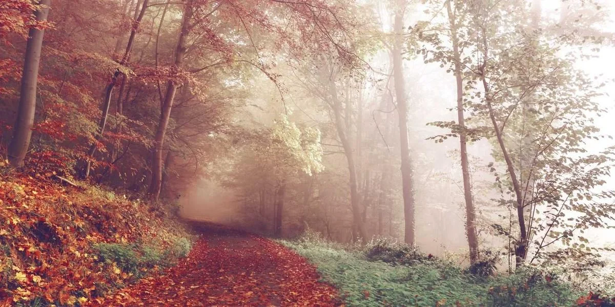 Podłoga symbol kąt klucz moneta