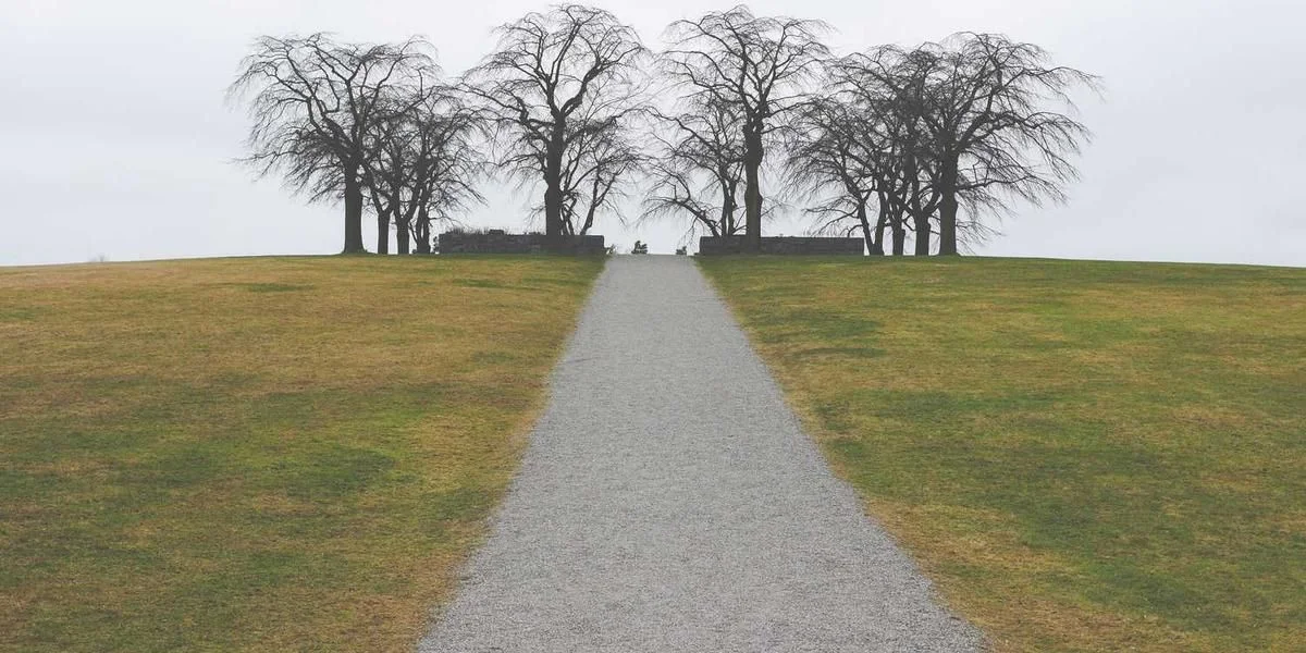 Policjant oficjalny impreza niedźwiedź podnieść warzywo