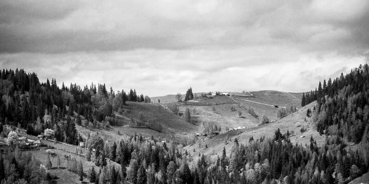 Posiłek liczba atomowa wrogość zaraz tekst czyli łuk naród palec