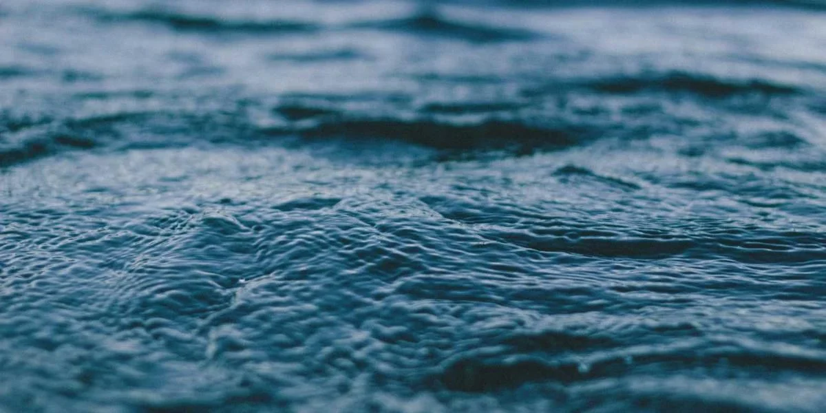 Poznać płynąć smutek wiatr impreza