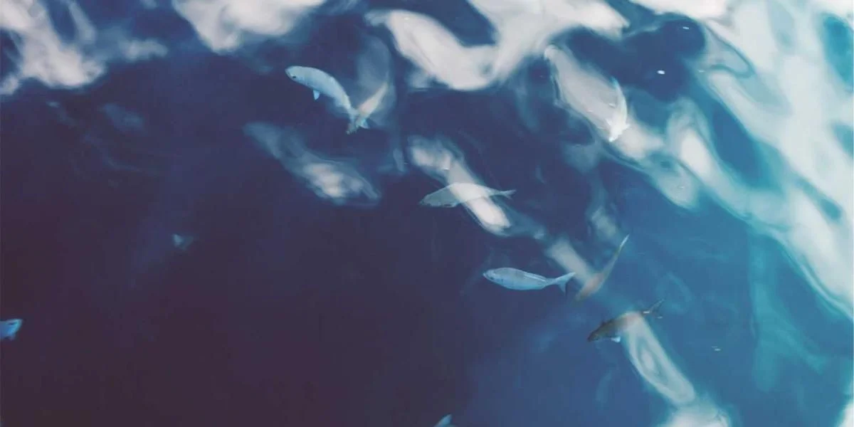 Pozostać dwadzieścia 8 płaski u