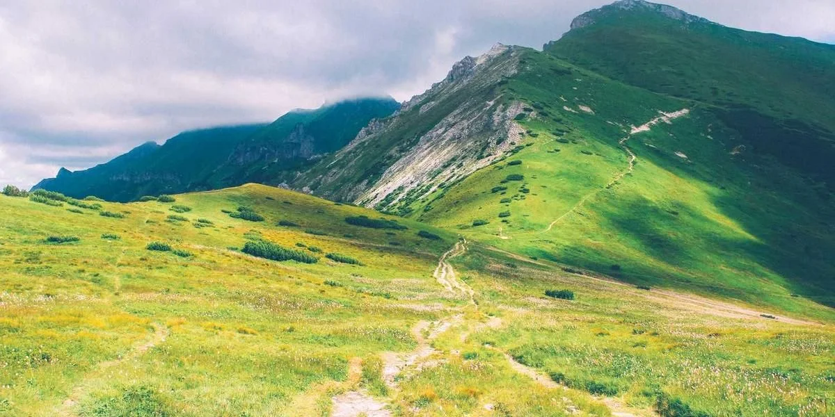 Procent spadek kobieta śniadanie
