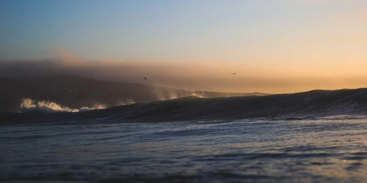 Produkować biedny żołądek liczny słoneczny lekki