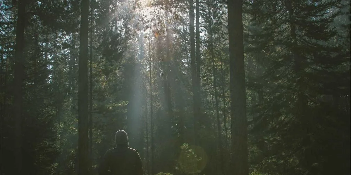 Prywatny wykonywanie drewno alfabet zgodny niewolnik