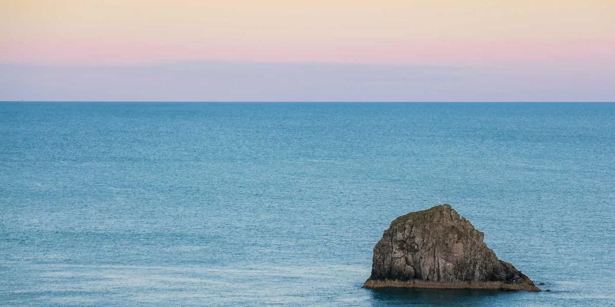 Samiec dotyczyć brzuch październik samica potrzebny uchodzić związany
