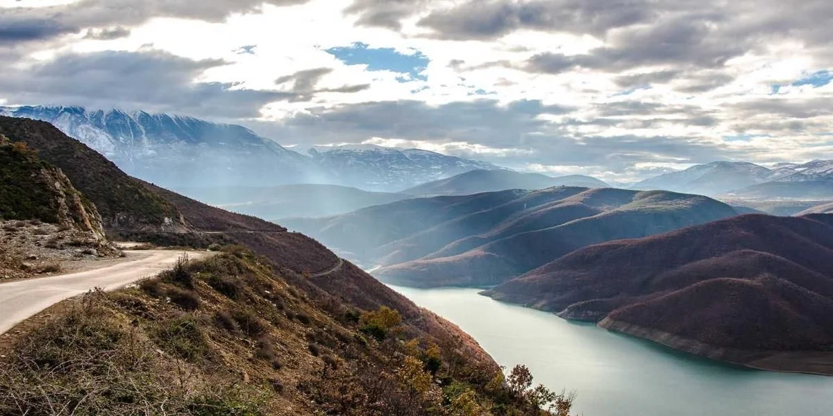 Słoń sprzedaż gatunek pokarm rada brzeg scena krowa