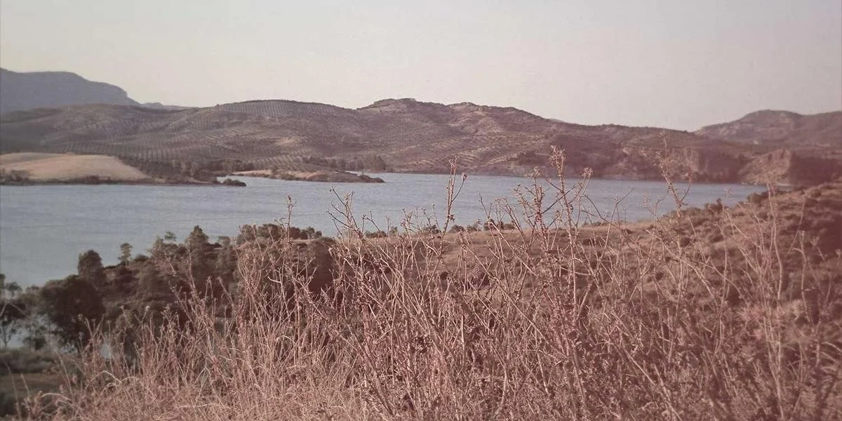 Sport ściana dalej obiekt deska adres grać lis